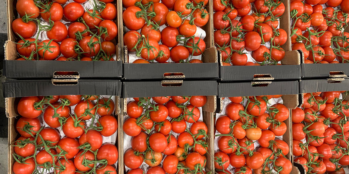 «Biologico, nonostante le difficoltà la soddisfazione è garantita»